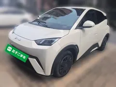 2025 BYD Seagull 305km Vitality, белый — фото 1