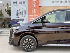 2024 Hongqi HQ9 2.0T PHEV 4WD Business — фото 4