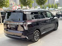 2024 Hongqi HQ9 2.0T PHEV 4WD Business — фото 9