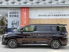 2024 Hongqi HQ9 2.0T PHEV 4WD Business — фото 14