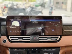2024 Hongqi HQ9 2.0T PHEV 4WD Business — фото 15