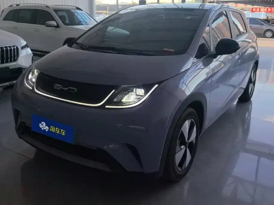 2023 BYD Dolphin 420km Fashion