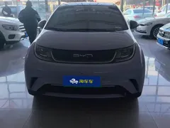 2023 BYD Dolphin 420km Fashion — фото 2