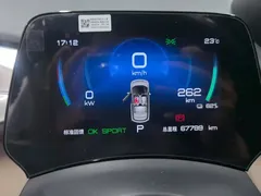 2023 BYD Dolphin 420km Fashion — фото 14