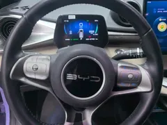 2023 BYD Dolphin 420km Fashion — фото 15