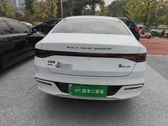 2023 BYD Qin PLUS Champion DM-i PHEV 55KM Leading, белый — фото 6