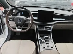 2023 BYD Qin PLUS Champion DM-i PHEV 55KM Leading, белый — фото 10