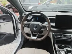 2023 BYD Qin PLUS Champion DM-i PHEV 55KM Leading, белый — фото 11