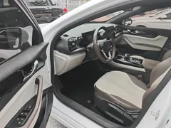 2023 BYD Qin PLUS Champion DM-i PHEV 55KM Leading, белый — фото 16