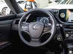 2022 Lexus ES 300h Excellence, чёрный — фото 14
