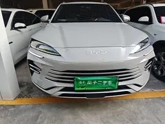2025 BYD Song PLUS DM-i 112KM PHEV Premium — фото 3