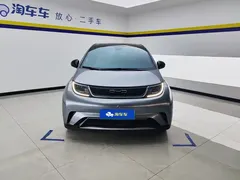 2023 BYD Dolphin 420km Fashion — фото 2