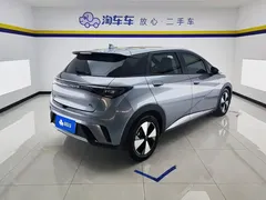2023 BYD Dolphin 420km Fashion — фото 3