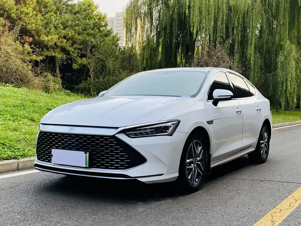 2024 BYD Qin PLUS DM-i PHEV 55km Honor Excellence