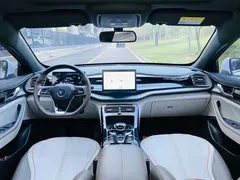 2024 BYD Qin PLUS DM-i PHEV 55km Honor Excellence, белый — фото 6