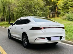 2024 BYD Qin PLUS DM-i PHEV 55km Honor Excellence, белый — фото 16