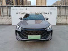 2025 BYD Tang DM-i PHEV 115km Flagship — фото 2