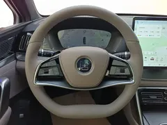 2025 BYD Tang DM-i PHEV 115km Flagship — фото 12