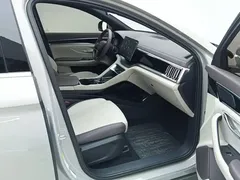 2025 BYD Song PLUS EV 520km Luxury — фото 8