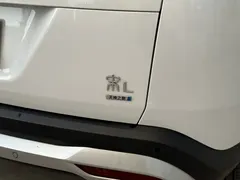 2025 BYD Song L PHEV 160km Smart Driving Exceed, белый — фото 19