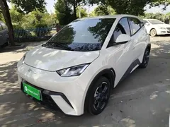 2024 BYD Seagull EV 305km Honor Freedom, белый — фото 1