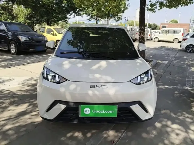 2024 BYD Seagull EV 305km Honor Freedom