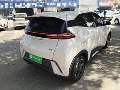 2024 BYD Seagull EV 305km Honor Freedom, белый — фото 7