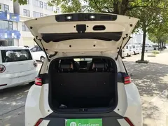 2024 BYD Seagull EV 305km Honor Freedom, белый — фото 19
