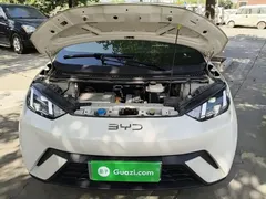 2024 BYD Seagull EV 305km Honor Freedom, белый — фото 20