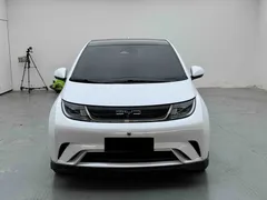 2021 BYD Dolphin EV 401km Knight Edition, белый — фото 2