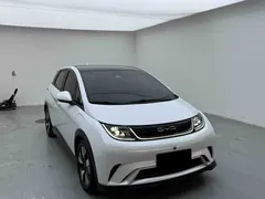 2021 BYD Dolphin EV 401km Knight Edition, белый — фото 3