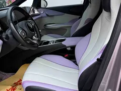 2021 BYD Dolphin EV 401km Knight Edition, белый — фото 4
