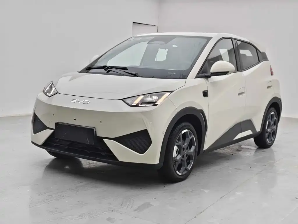 2025 BYD Seagull Smart Driving 305km Freedom