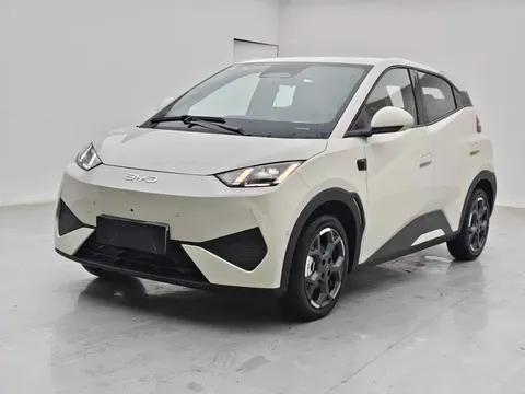 2025 BYD Seagull Smart Driving 305km Freedom