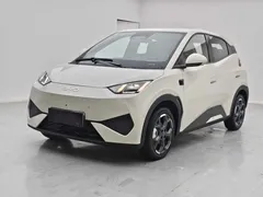 2025 BYD Seagull Smart Driving 305km Freedom, белый — фото 1