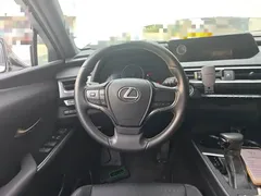 2020 Lexus UX 200 Special Edition, белый — фото 11