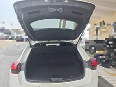 2020 Lexus UX 200 Special Edition, белый — фото 19