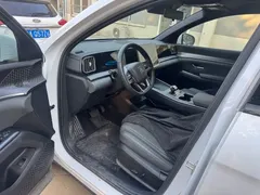 2025 BYD Song Pro 2nd Gen Smart Drive DM-i PHEV 75km Exceed, белый — фото 3