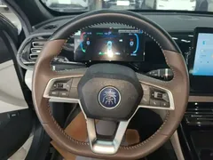 2024 BYD Qin PLUS Honor DM-i PHEV 55km Leading — фото 11