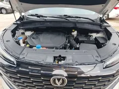 2022 Changan CS55 PLUS 2nd Gen 1.5T DCT Luxury, белый — фото 20