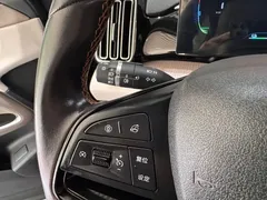 2023 BYD Song Pro Champion DM-i PHEV 71km, синий — фото 11