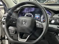 2021 Changan Raeton PLUS Blue Whale 1.5T DCT Luxury, белый — фото 12