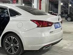 2021 Changan Raeton PLUS Blue Whale 1.5T DCT Luxury, белый — фото 13