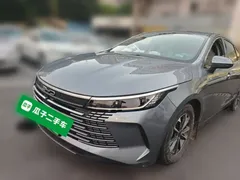2023 BYD Destroyer 05 Champion DM-i PHEV 55km Luxury — фото 1
