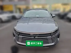 2023 BYD Destroyer 05 Champion DM-i PHEV 55km Luxury — фото 2