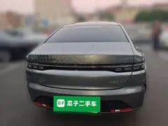 2023 BYD Destroyer 05 Champion DM-i PHEV 55km Luxury — фото 3