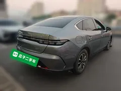 2023 BYD Destroyer 05 Champion DM-i PHEV 55km Luxury — фото 4