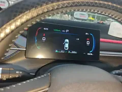 2023 BYD Destroyer 05 Champion DM-i PHEV 55km Luxury — фото 7
