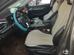 2023 BYD Destroyer 05 Champion DM-i PHEV 55km Luxury — фото 11