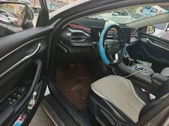 2023 BYD Destroyer 05 Champion DM-i PHEV 55km Luxury — фото 12